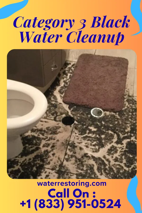 Category 3 Black Water Cleanup in Borger, TX